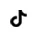 TikTok Icon